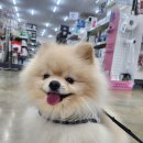 최우식동물병원 이미지