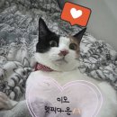 프렌드24시편의점