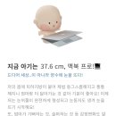 (주)그녀의 정원 드라마 네이버블로그