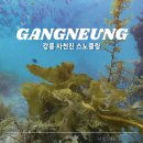사천진 해수욕장 2026년 스노클링 후기 + 평상? 차박?