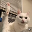 즐거운인생 이미지