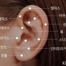 참,어 이미지