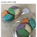 사적인프로젝트
