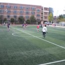 주경기장 잔디구장 이미지