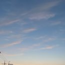 매향 오토 캠핑장 이미지