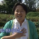 카스 FIFA 월드컵 팬 베이스캠프 팝업스토어 후기