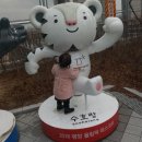 메너머쭈꾸미