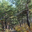 농협원대동 이미지