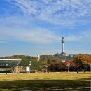 두류공원 이미지