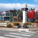 대평딸기 조형물 이미지