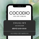 양덕동259 이미지