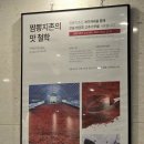 짬뽕지존 운정점 | 서오릉 맛집 짬뽕지존 짬짜면 지옥 1단계 짬뽕 지옥 4단계 솔직 후기