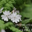 판테놀 연고 이미지