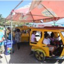 림스파마 이미지