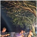 꽃지늘봄펜션 이미지