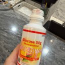 서대문보건소 | 26주 임당검사, 입체초음파/ 30주 입체초음파, 철분제 주사/ 서울 서대문구 보건소 백일해 예방접종 후기