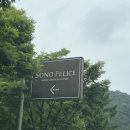 펠리체 - 김포시 김포한강9로115번길 11 | 소노펠리체 빌리지 숙박 후기(객실사진, 아쉬운 산책로🌳)