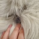 사적인잡화점