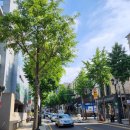 신반포역 4번출구 앞 이미지