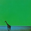 가사안토니오 이미지