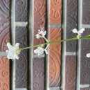 요수정옆 이미지