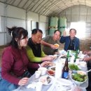 인호농원 이미지