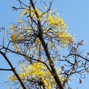 현대건강원 이미지