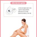 스파정자