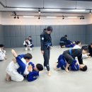 창주종합안전 | 청주주짓수, 누구나 즐겁게 배우는 [팀매드 청주]