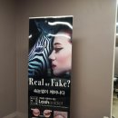 남양토탈