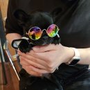 바디포헬스 | 헬스장 바디포헬스 화순 화순읍 가격,이벤트,할인,후기