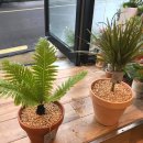 플로제 이미지