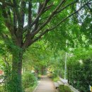 비산 빗물펌프장 이미지