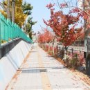 전주동북초등학교