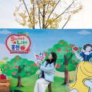 한마음콘서트 | 홍천 사과축제 놀거리 먹거리 여행지 한우축제 아이랑 갈만한곳