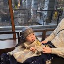 은지가든 | [돌끝맘] 워커힐 돌잔치 헬퍼 - 은지이모