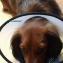 카라인 용품점 이미지