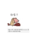 줄리의뷰티살롱 이미지