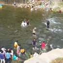 펜션화수목 이미지