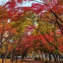 오현로20길 이미지