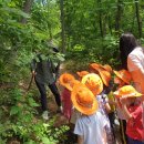 꼬마숲둥지어린이집 이미지