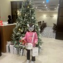 주례여자중학교 | ‍ ‍