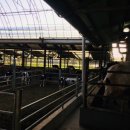 현승목장 이미지