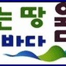 울진 제일약국 이미지