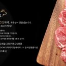 초우정