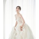 스텔라스테이