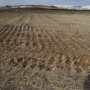 회안대로 이미지