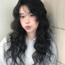 달리함헤어