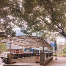 YJ행정사 합동사무소 이미지