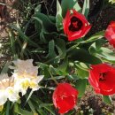 관악산현대홈타운 이미지